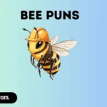 Bee puns