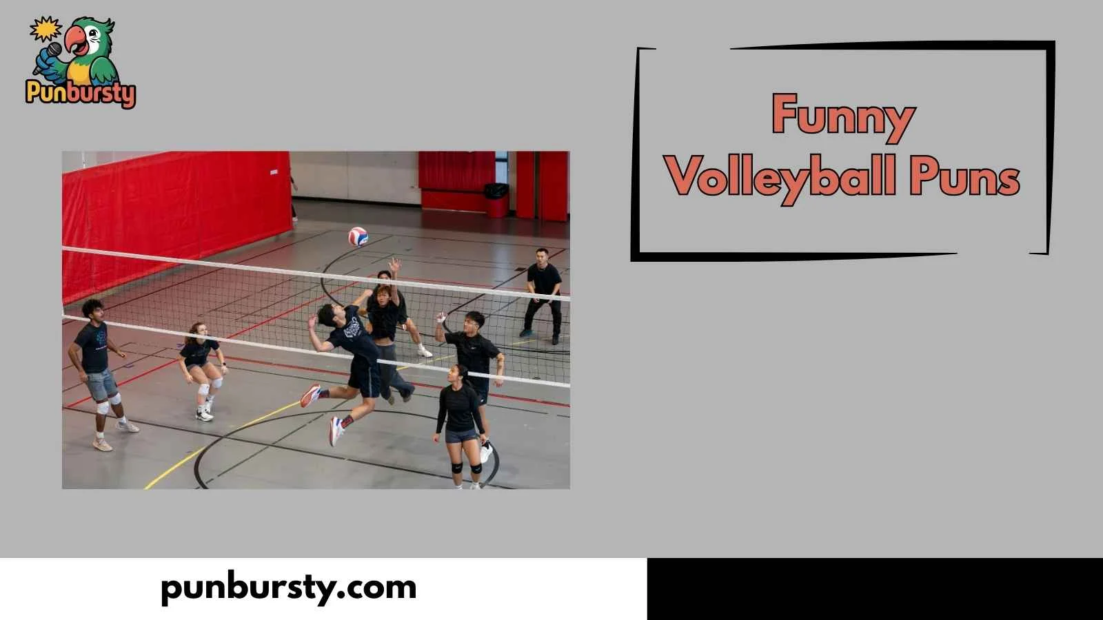 Funny Volleyball Puns