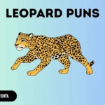 Leopard Puns