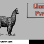 Llama Puns