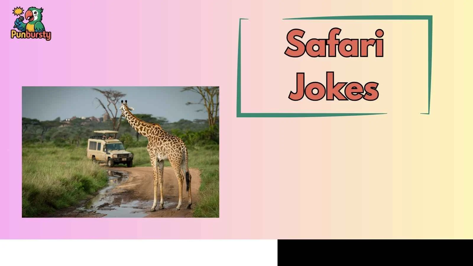 Safari Jokes
