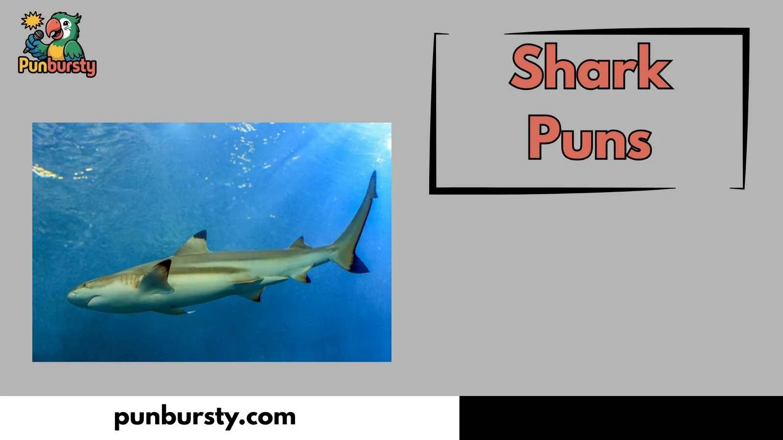 Shark Puns