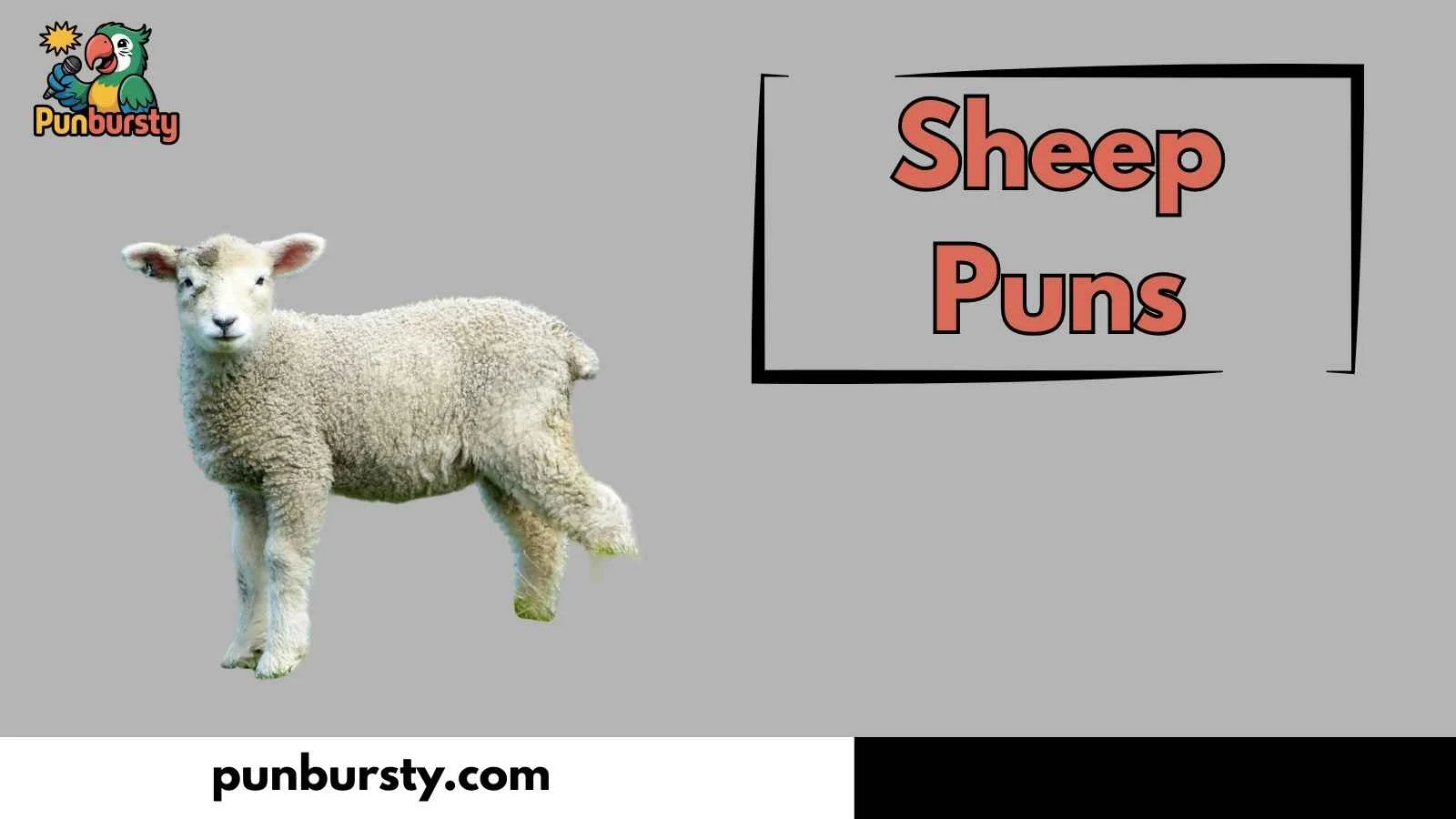 Sheep Puns