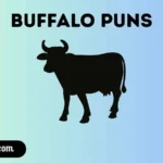 buffalo puns