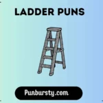 Ladder Puns