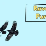 Raven Puns