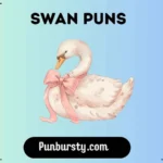 swan puns